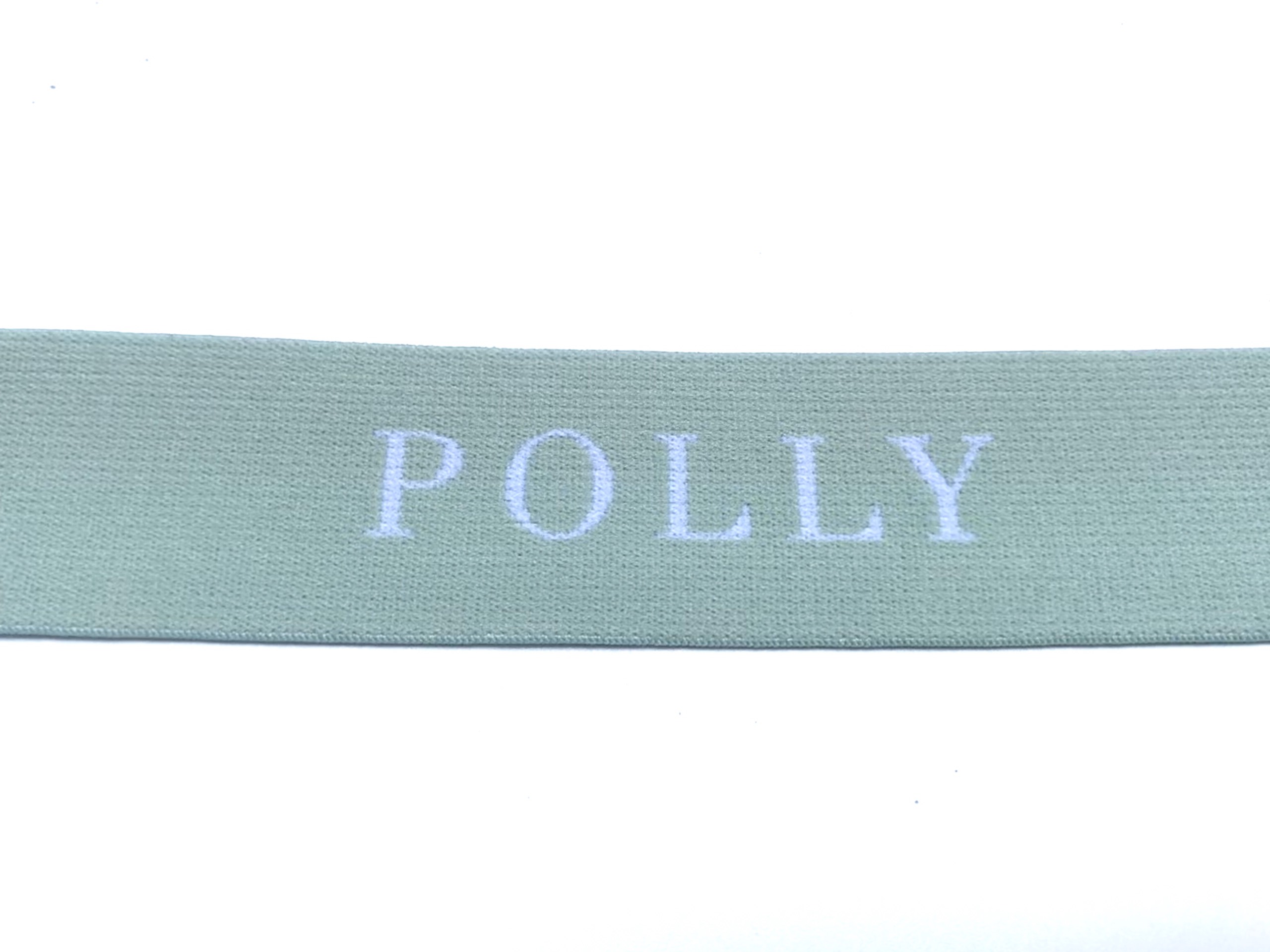 polly 2.jpg